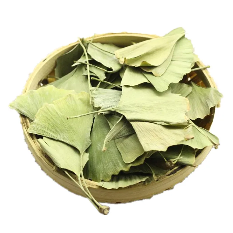 FOLIUM Ginkgo, Ginkgo Biloba Leaf,Yinxingye Carefully Selected High Quality Dried Ginkgo Biloba Leaves 
FOLIUM Ginkgo, Ginkgo Biloba Leaf,Yinxingye Carefully Selected High Quality Dried Ginkgo Biloba Leaves