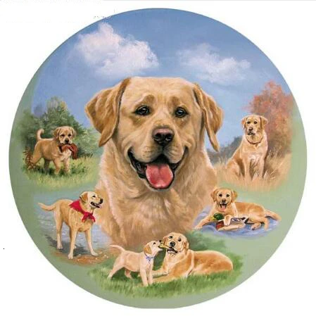 Evershine алмазная вышивка собаки 5D DIY полная площадь алмазной мозайки животные вышивка крестом стразами Декор детской комнаты
Evershine алмазная вышивка собаки 5D DIY полная площадь алмазной мозайки животные вышивка крестом стразами Декор детской комнаты