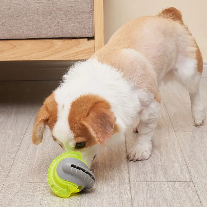 Pet Toy Dog Ball Pet Tooth Cleaning Chewing Rubber Toys For Small Dogs Rubber Dog Toy Pet Teething Dog Bite Grinding Toy
Pet Toy Dog Ball Pet Tooth Cleaning Chewing Rubber Toys For Small Dogs Rubber Dog Toy Pet Teething Dog Bite Grinding Toy
