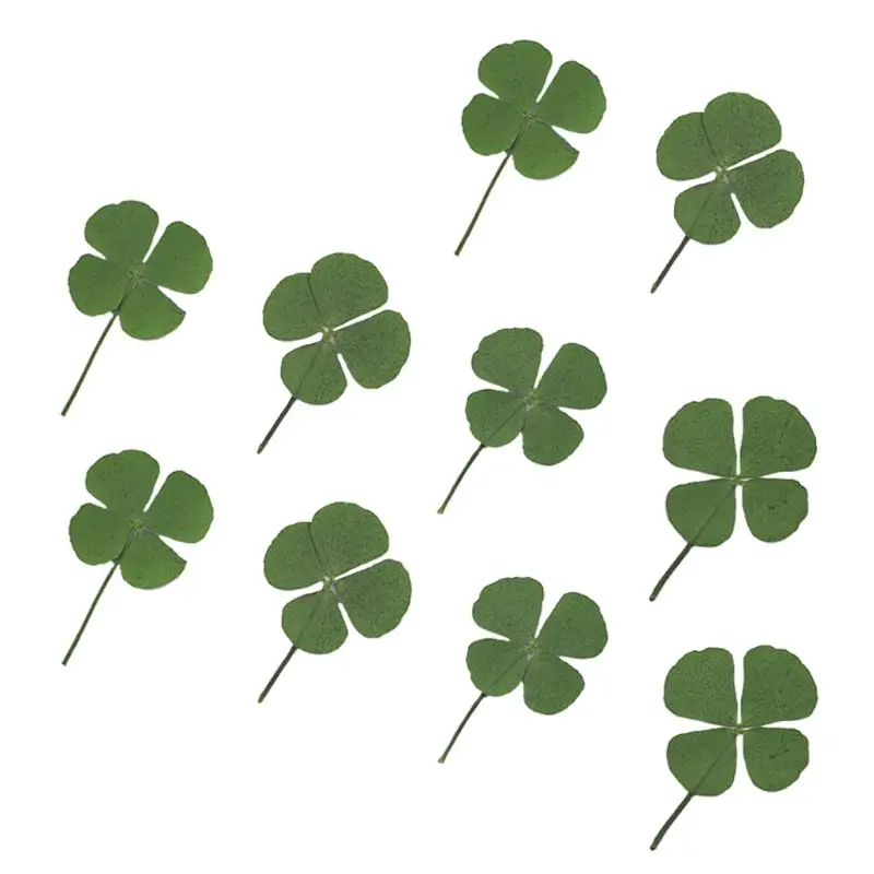 

10Pcs Dried Leaf Clover UV Resin Decor Nail Art Epoxy Mold DIY Filling Jewelry For Wall Decoration,Bookmarks,Nail Sticker