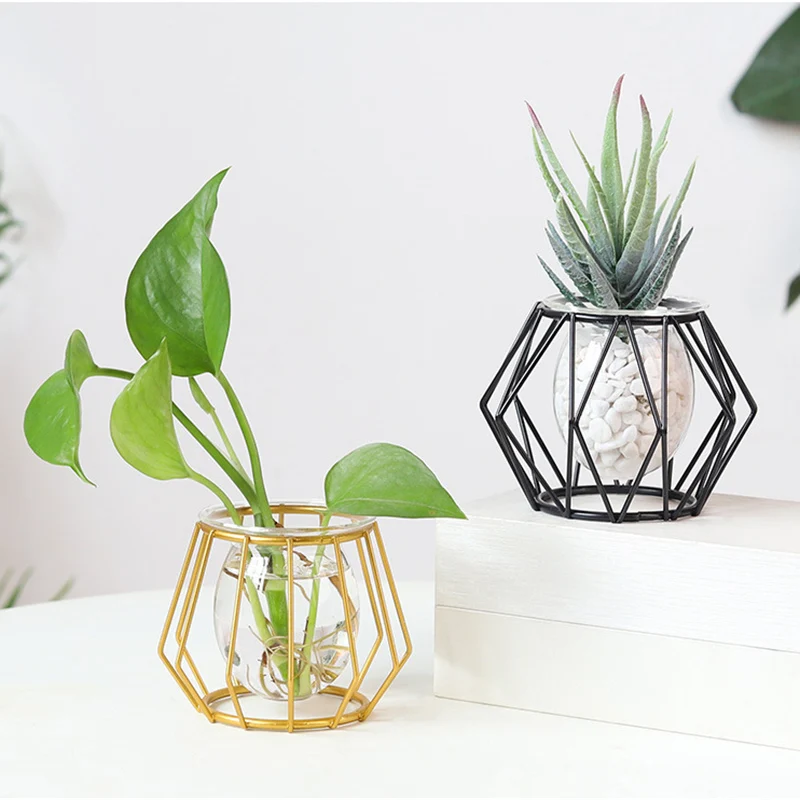 Home Decoration Accessories Wrought Iron Golden Hydroponic Glass Vase Ornament Creative Crafts Desktop Decor Flower Arrangement
Home Decoration Accessories Wrought Iron Golden Hydroponic Glass Vase Ornament Creative Crafts Desktop Decor Flower Arrangement