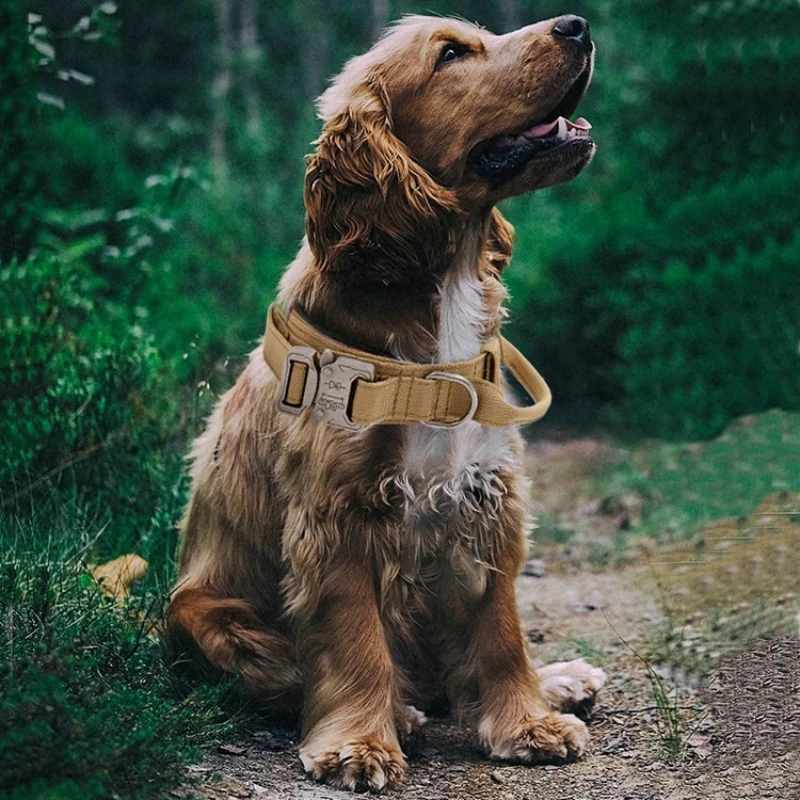Tactical Adjustable Pet Dog Collar Pets Outdoor Training Supplies Quick Release for Medium Large Dogs German Shepherd Dog Collar
Tactical Adjustable Pet Dog Collar Pets Outdoor Training Supplies Quick Release for Medium Large Dogs German Shepherd Dog Collar