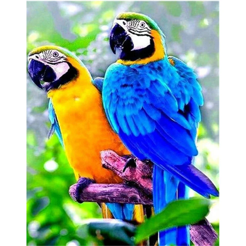 5d алмазная живопись попугай рисунком в виде птичек площадь дрель DIY Бриллиантовая мозаичная фигурка животного Вышивка крестом Стразы домаш...
5d алмазная живопись попугай рисунком в виде птичек площадь дрель DIY Бриллиантовая мозаичная фигурка животного Вышивка крестом Стразы домаш...