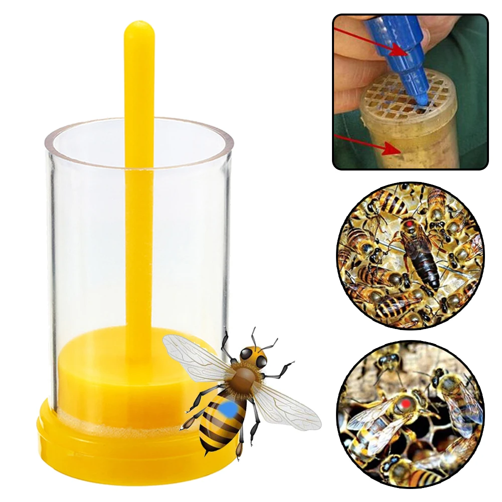 Queen Bee Marker Bottle Protect Safety Bee Catcher Yellow Plastic Farm Marker Bottle Plunger Plush Garden Beekeeper Accessories
Queen Bee Marker Bottle Protect Safety Bee Catcher Yellow Plastic Farm Marker Bottle Plunger Plush Garden Beekeeper Accessories