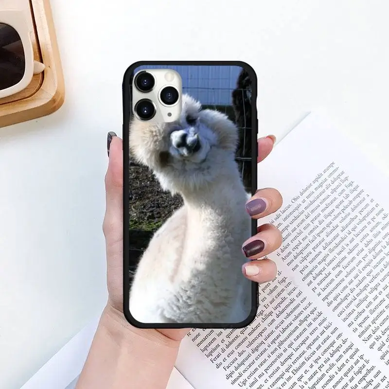 cute Lama Llama Alpacas Animal Phone Case for iPhone 11 12 pro XS MAX 8 7 6 6S Plus X 5S SE 2020 XR funda coque
cute Lama Llama Alpacas Animal Phone Case for iPhone 11 12 pro XS MAX 8 7 6 6S Plus X 5S SE 2020 XR funda coque