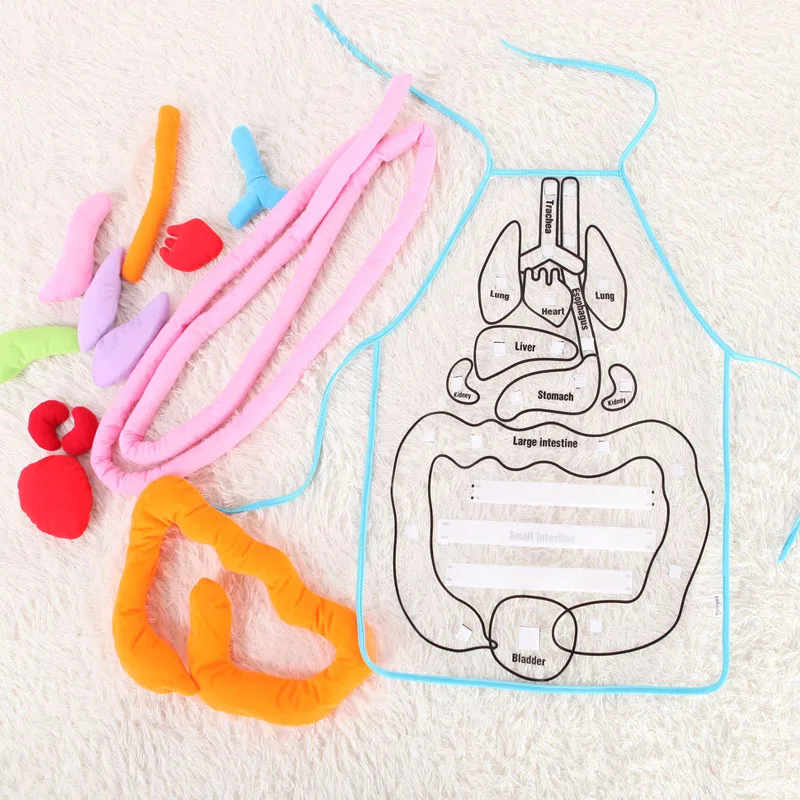 children's Puzzle Science Color Transparent Human Organ Apron Early Education Toys New Baby Enlightenment Teaching Aids
children's Puzzle Science Color Transparent Human Organ Apron Early Education Toys New Baby Enlightenment Teaching Aids