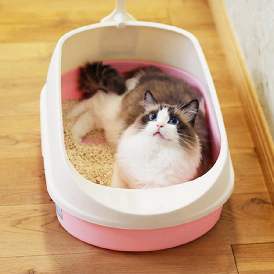 Large Cat Litter Box Toilet Training Kit Kattenbak Detachable WC Tray Semi Enclosed Scoop Free Pet Kitty Sand Box Bedpan B70
Large Cat Litter Box Toilet Training Kit Kattenbak Detachable WC Tray Semi Enclosed Scoop Free Pet Kitty Sand Box Bedpan B70