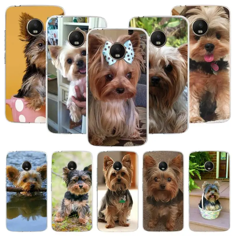 Hot Yorkshire terrier dog puppy Phone Case For Samsung S20 S21 Note20 A71 A30s A52 Plus Ultra lite Transparent Nax Fundas Cover
Hot Yorkshire terrier dog puppy Phone Case For Samsung S20 S21 Note20 A71 A30s A52 Plus Ultra lite Transparent Nax Fundas Cover