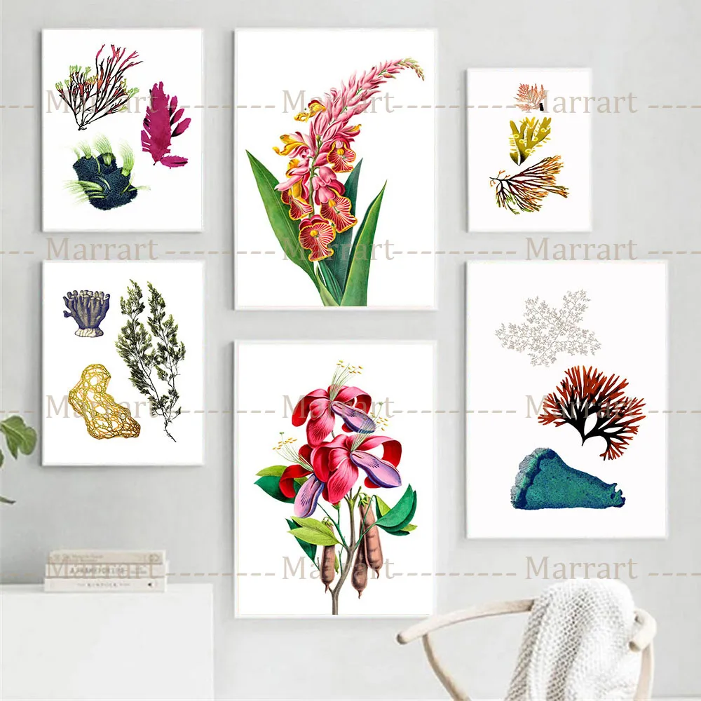 Pink And Purple Flower Art Prints Seaweed Botany And Pink Alpinia Flower Poster Prints Home Decor Plant Knowledge Canvas Prints
Pink And Purple Flower Art Prints Seaweed Botany And Pink Alpinia Flower Poster Prints Home Decor Plant Knowledge Canvas Prints