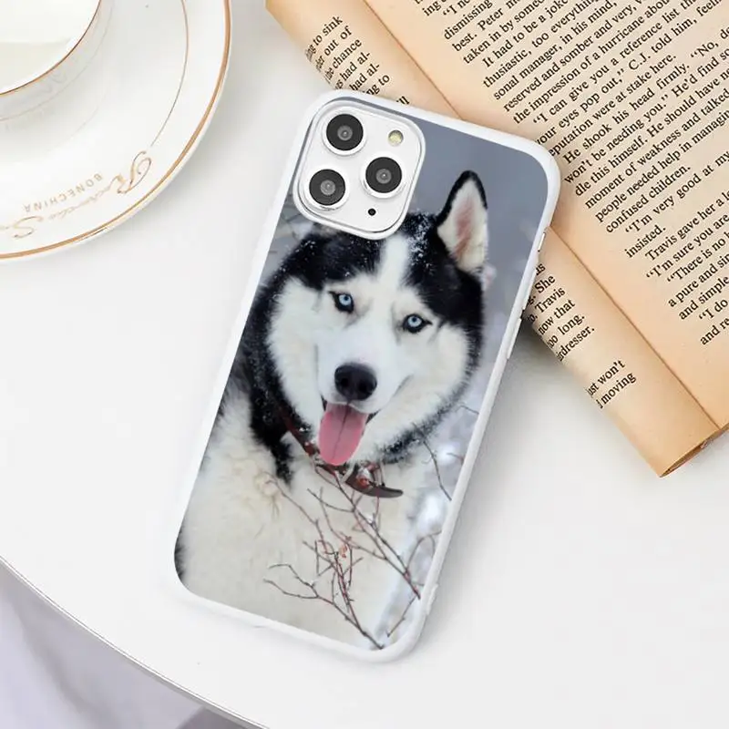 Animal Husky cute Puppy Dog Phone Case Candy Color White for iPhone 11 pro XS MAX 8 7 6 6S Plus X 5S SE 2020 XR
Animal Husky cute Puppy Dog Phone Case Candy Color White for iPhone 11 pro XS MAX 8 7 6 6S Plus X 5S SE 2020 XR