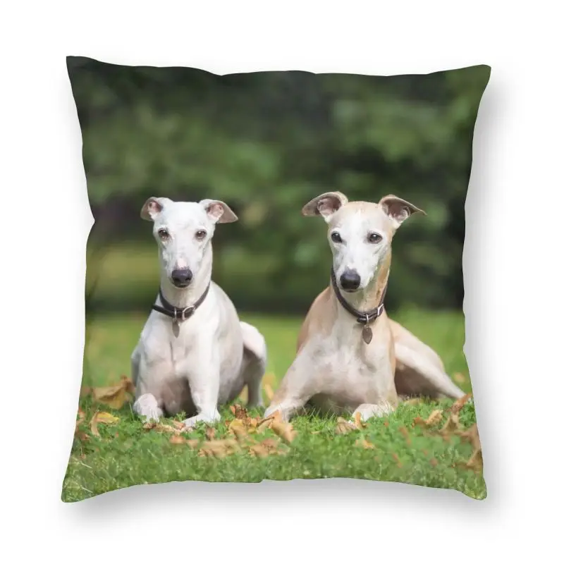 Greyhound Sighthound Pillowcover Decoration Whippet Dog Cushions Throw Pillow for Sofa Double-sided Printing
Greyhound Sighthound Pillowcover Decoration Whippet Dog Cushions Throw Pillow for Sofa Double-sided Printing