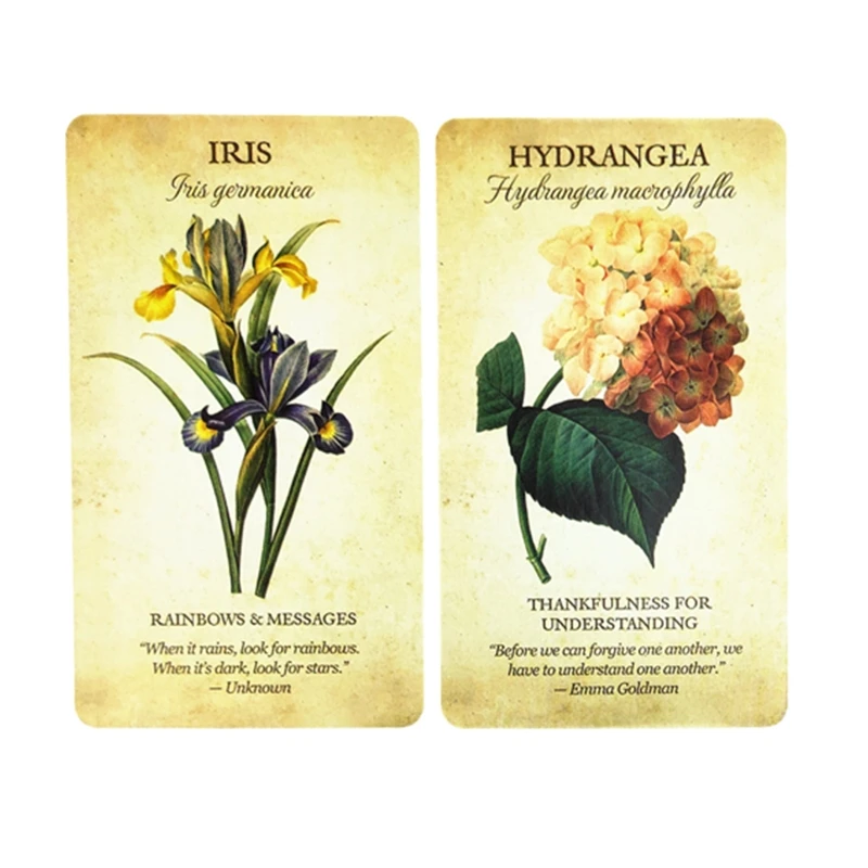 Botanical Inspiration Oracle Cards Full English 45 Cards Deck Tarot Mysterious Divination Family Party Board Game
Botanical Inspiration Oracle Cards Full English 45 Cards Deck Tarot Mysterious Divination Family Party Board Game