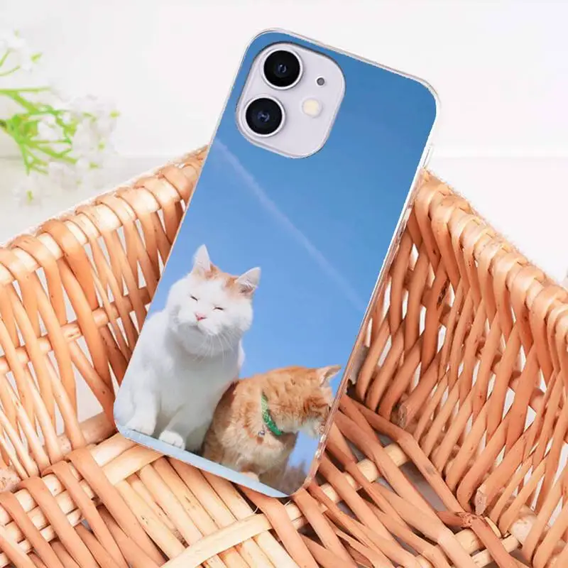 Sleepy Cat Phone Case For iphone 12 pro max case 11 Pro MAX X XR XS SE 2020 6S 7 8 Plus
Sleepy Cat Phone Case For iphone 12 pro max case 11 Pro MAX X XR XS SE 2020 6S 7 8 Plus