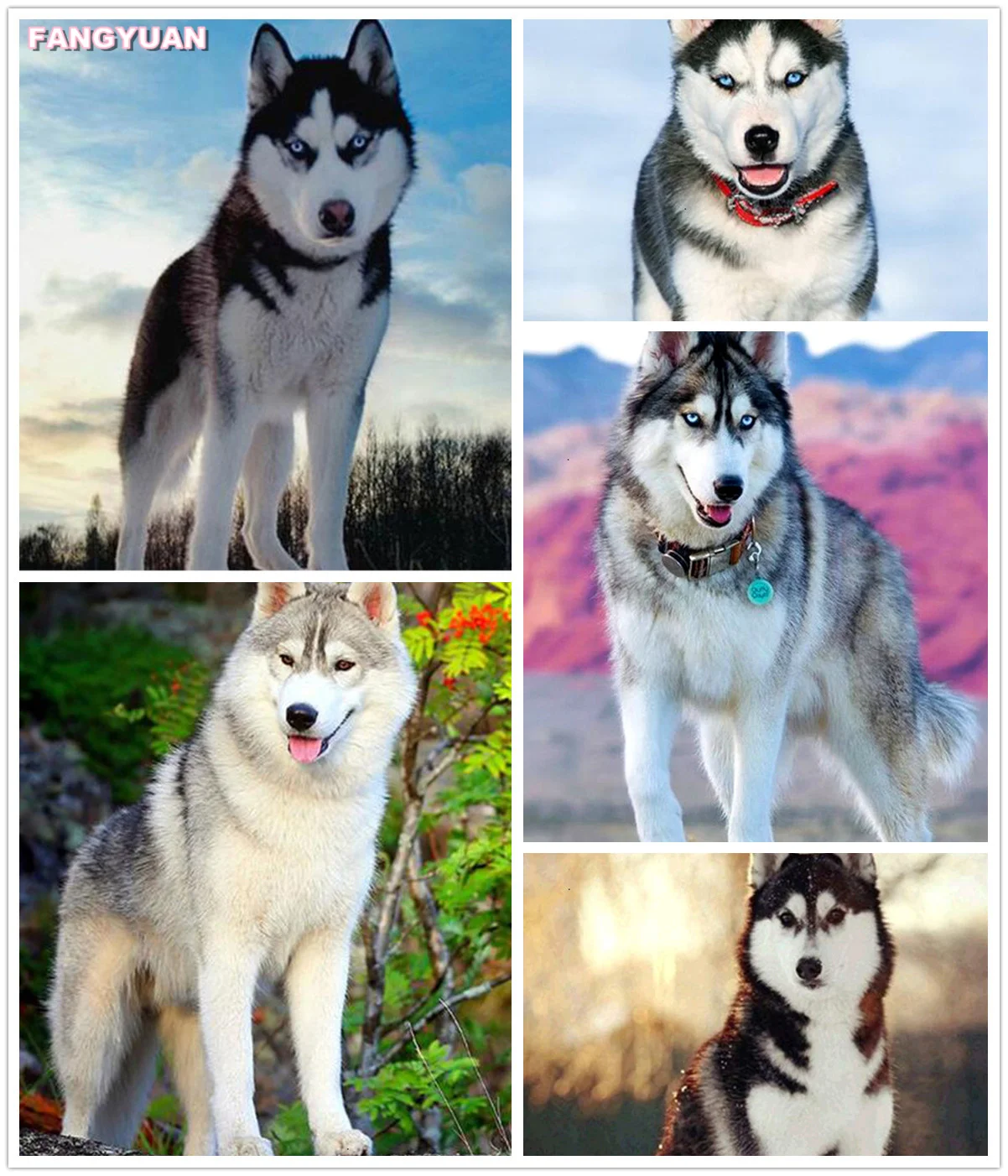 5D Diy Full Diamond Embroidery Husky Dog Landscape Diamond Painting Animals Cross Stitch Kits Rhinestone Home Decoration Gift
5D Diy Full Diamond Embroidery Husky Dog Landscape Diamond Painting Animals Cross Stitch Kits Rhinestone Home Decoration Gift