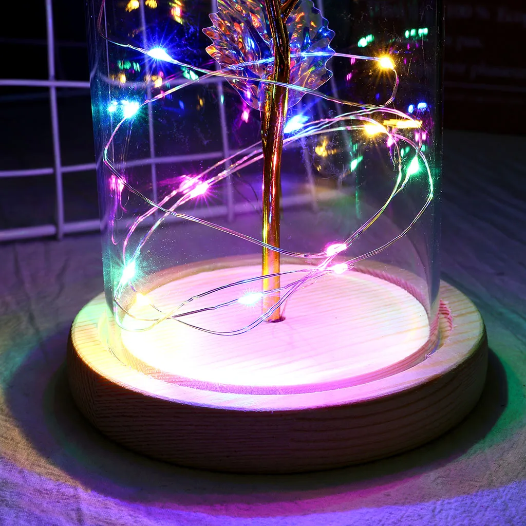 Light Galaxy Rose Flower Glass Cover LED Battery Lamp Home Decor Night Light Romantic Present Valentine's Day Mother's Gift
Light Galaxy Rose Flower Glass Cover LED Battery Lamp Home Decor Night Light Romantic Present Valentine's Day Mother's Gift
