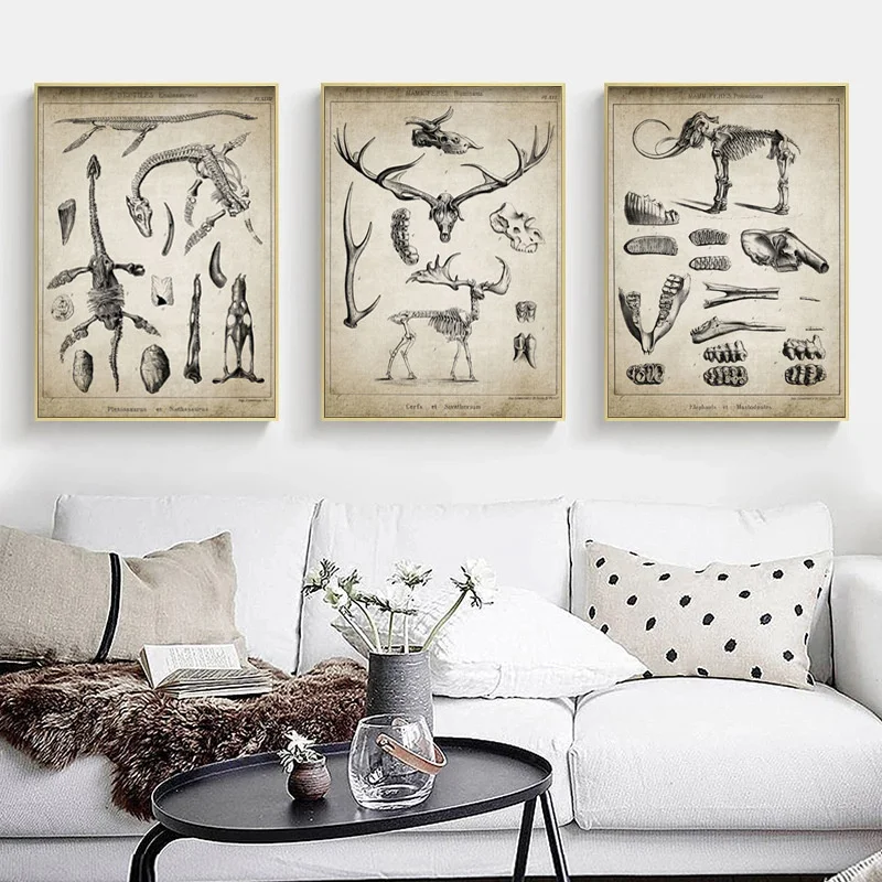 Vintage Dinosaur Elephant Deer Animal Fossil Skeleton Art Poster Canvas Painting Academic Research Living Room Laboratory Decor
Vintage Dinosaur Elephant Deer Animal Fossil Skeleton Art Poster Canvas Painting Academic Research Living Room Laboratory Decor