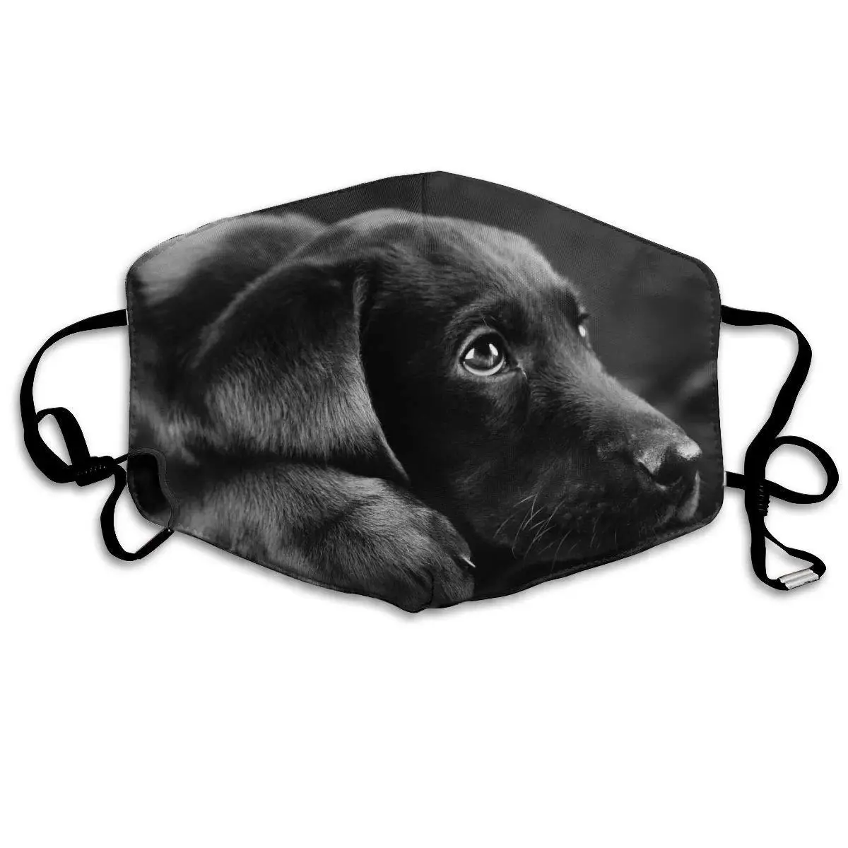 Lovely Black Labrador Face Printed Mouth Covering Washable Reusable Fabric Face Mask with Filter
Lovely Black Labrador Face Printed Mouth Covering Washable Reusable Fabric Face Mask with Filter