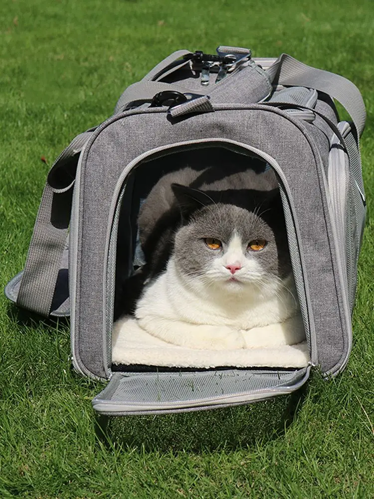Fashion Outdoor Animal Pet Traveling Backpack With Mesh Windows Easy Carrying Backpack For Dogs And Cats Adjustable Straps Bags
Fashion Outdoor Animal Pet Traveling Backpack With Mesh Windows Easy Carrying Backpack For Dogs And Cats Adjustable Straps Bags