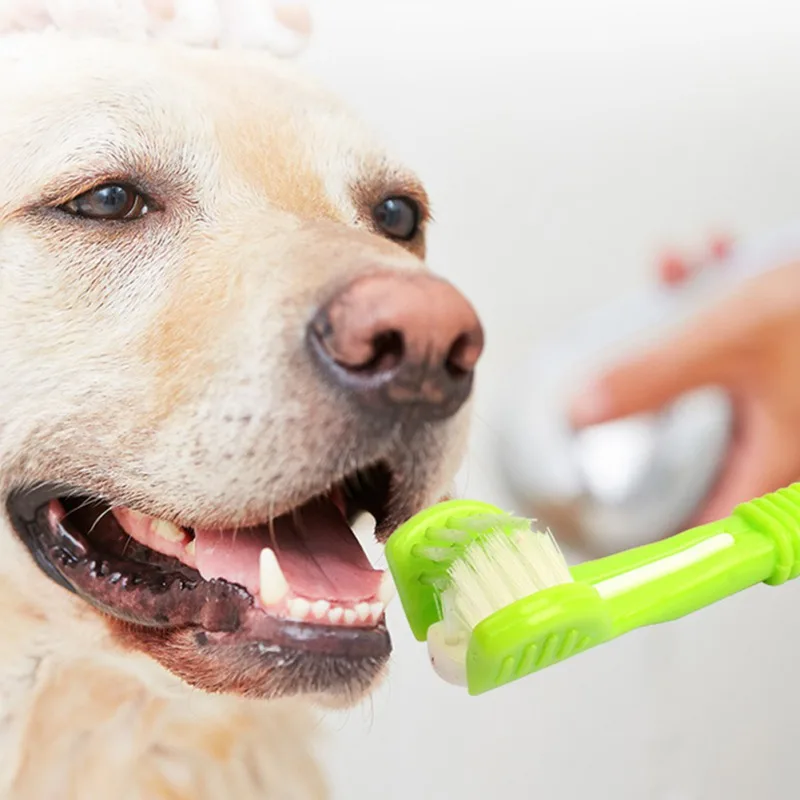 Pet Toothbrush Kit With Soft Dog Finger Toothbrush Pet Multi-angle Cleaning Tooth Dog Dental Care Three-Head Toothbrushes Set
Pet Toothbrush Kit With Soft Dog Finger Toothbrush Pet Multi-angle Cleaning Tooth Dog Dental Care Three-Head Toothbrushes Set
