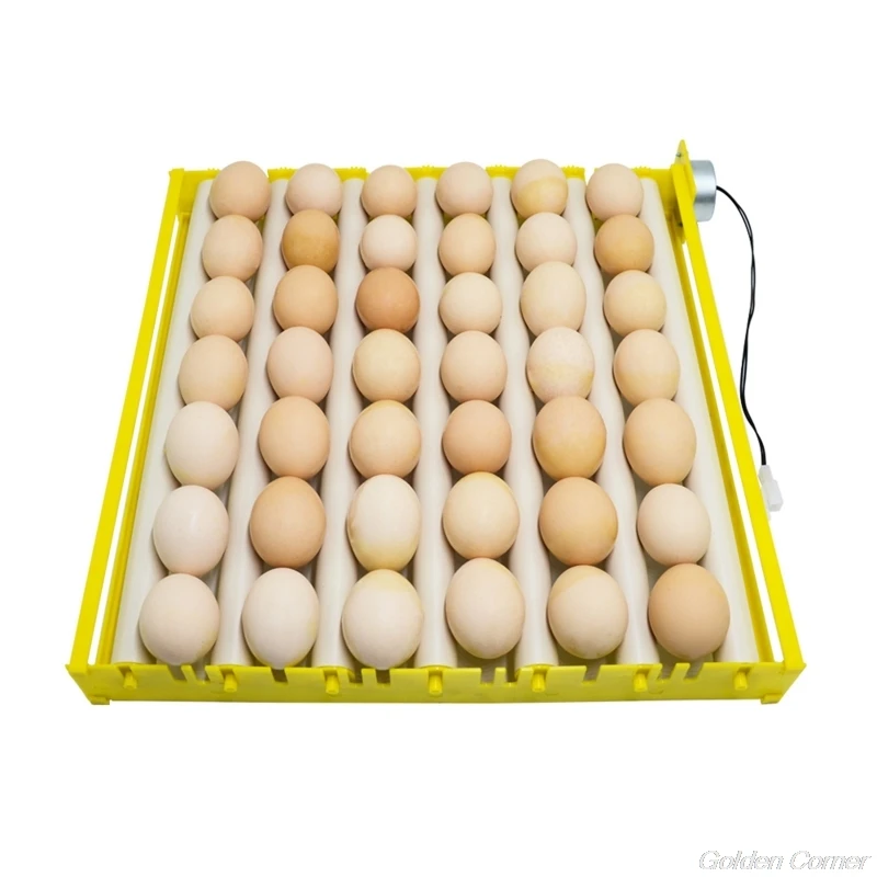 Automatic 360 Degree Rotary Egg Turner Roller Tray Farm Incubation Tool Duck Quail Bird Poultry Eggs Hatching Incubator N18 20
Automatic 360 Degree Rotary Egg Turner Roller Tray Farm Incubation Tool Duck Quail Bird Poultry Eggs Hatching Incubator N18 20