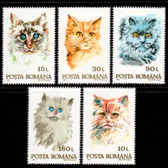 5 шт./компл. почтовые штампы Румынии, 1993, штампы с кошками, штампы с животными, высокое качество, новый штамп, коллекция хорошего состояния, MNH
5 шт./компл. почтовые штампы Румынии, 1993, штампы с кошками, штампы с животными, высокое качество, новый штамп, коллекция хорошего состояния, MNH