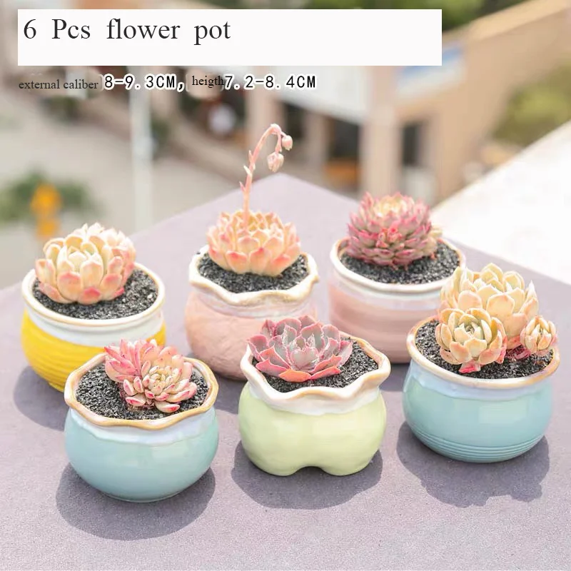 Candy Style Flower Pot Succulent Cactus Pot Plant Garden Ceramic Planter Mini Pots Outdoor Garden Home Decor windowsill
Candy Style Flower Pot Succulent Cactus Pot Plant Garden Ceramic Planter Mini Pots Outdoor Garden Home Decor windowsill