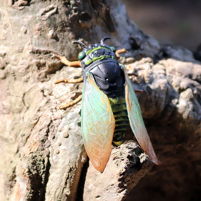 Oenux Classic Insect Animals Action Figures Simulation PVC Lizard Bee Butterfly Spider Mantis Figurines Model Education Kids Toy
Oenux Classic Insect Animals Action Figures Simulation PVC Lizard Bee Butterfly Spider Mantis Figurines Model Education Kids Toy