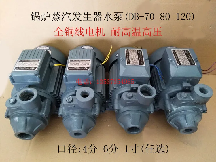 Boiler Steam Generator Water Supply Pump High-Pressure Peripheral Pump 1/2DB-70 3/4DB-80 1DB-120
Boiler Steam Generator Water Supply Pump High-Pressure Peripheral Pump 1/2DB-70 3/4DB-80 1DB-120