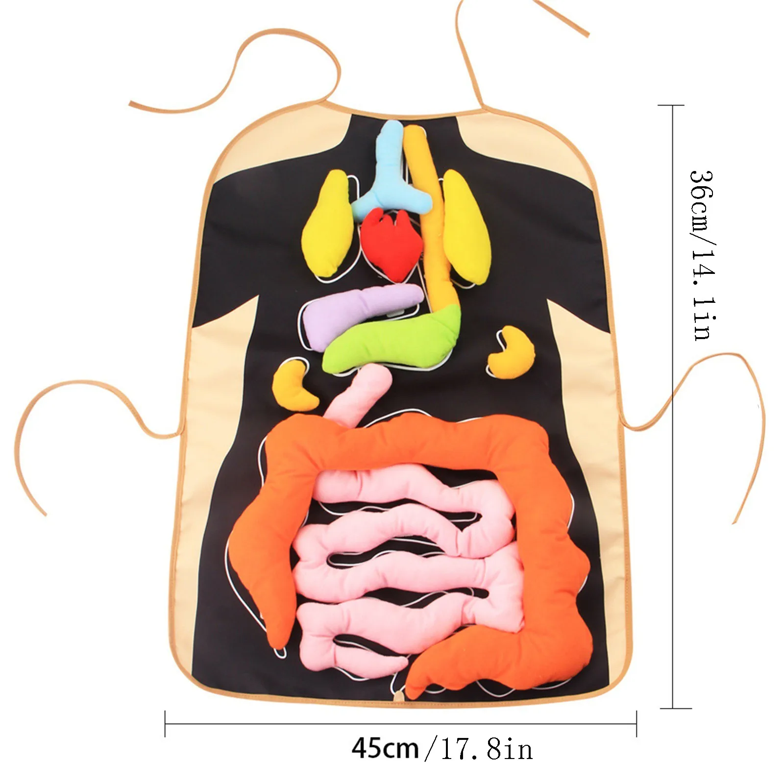 3D Organ Apron Anatomy Apron Human Body Organs Awareness Educational Tool Toy Preschool Home Teaching Aids For Children Kids
3D Organ Apron Anatomy Apron Human Body Organs Awareness Educational Tool Toy Preschool Home Teaching Aids For Children Kids