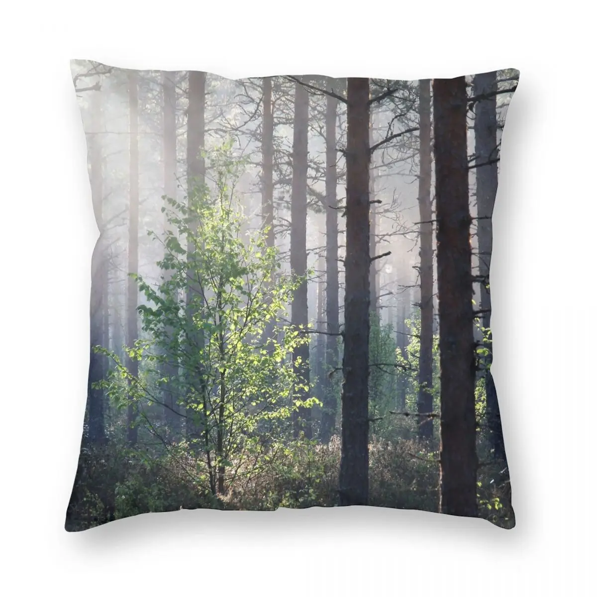 10.6.2017 Young Birch Square Pillowcase Polyester Linen Velvet Printed Zip Decor Throw Pillow Case Room Cushion Cover
10.6.2017 Young Birch Square Pillowcase Polyester Linen Velvet Printed Zip Decor Throw Pillow Case Room Cushion Cover