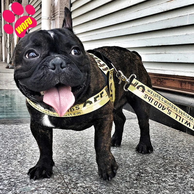 WOFUWOFU 3.5cm OFF Dog Harness And LeashDesigner Luxury Dog CollarHarness Leash150cm LongMade Of Nylon
WOFUWOFU 3.5cm OFF Dog Harness And LeashDesigner Luxury Dog CollarHarness Leash150cm LongMade Of Nylon