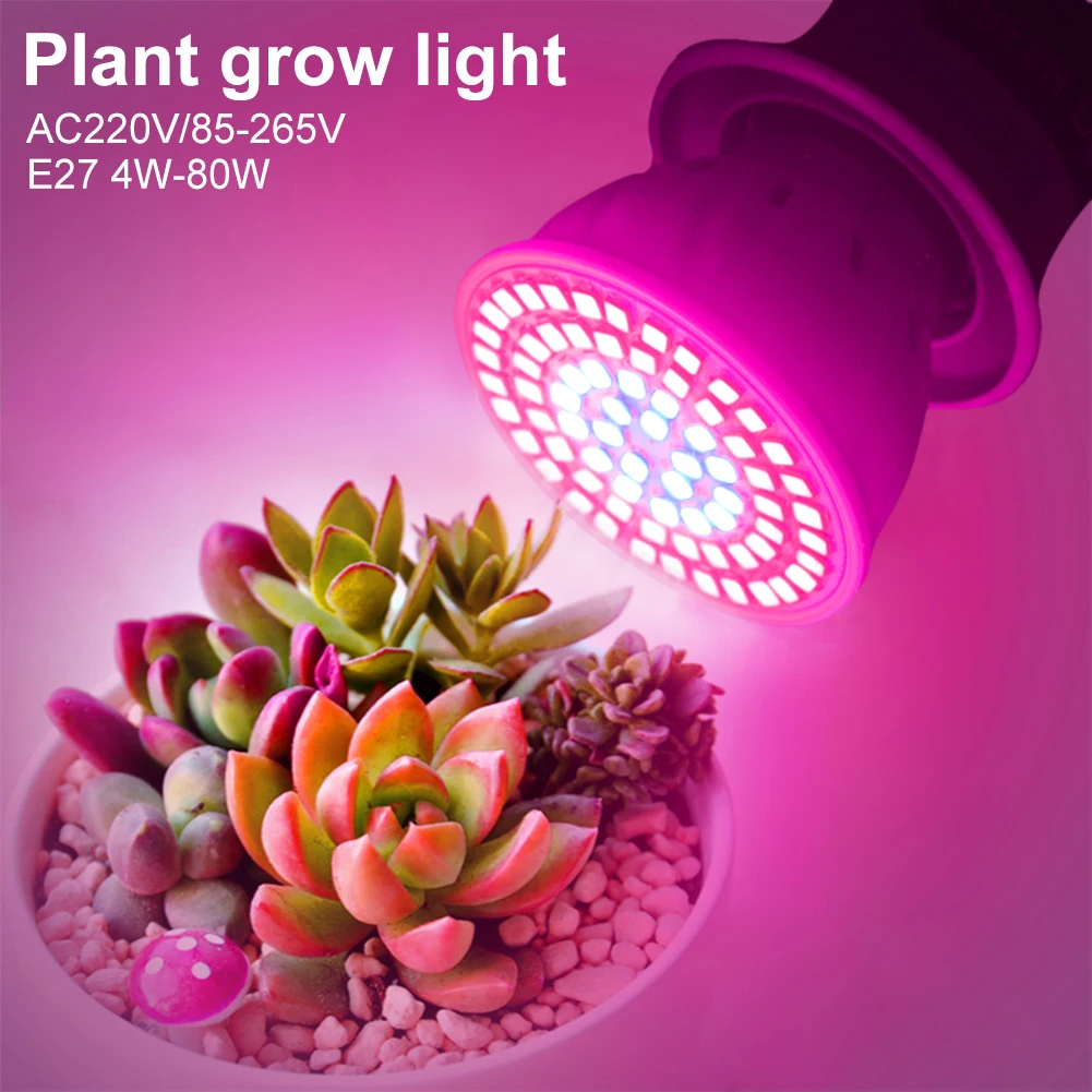 8/10pcs 4W 6W 8W Wide Spectrum E27 LED Grow Light 220V Lamp For Hydroponics Plants Fostering Vegetables Flowers Growing Lamps
8/10pcs 4W 6W 8W Wide Spectrum E27 LED Grow Light 220V Lamp For Hydroponics Plants Fostering Vegetables Flowers Growing Lamps