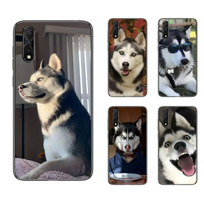 

Animal Husky cute Puppy Dog Phone Case For vivo Y53 Y55 Y66 Y67 Y69 Y71 Y75 Y79 Y81 Y83 Y85 Y91 Y81S Y97 x9s x20 plus cover