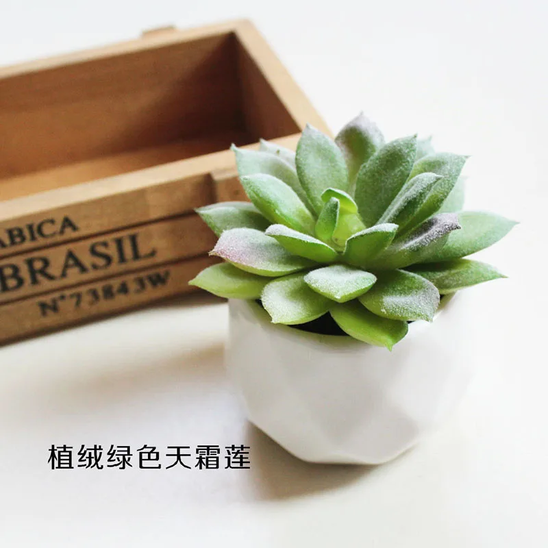 Green artificial succulents potted garden mini ornaments succulents fake plant layout bonsai home decoration wedding accessories
Green artificial succulents potted garden mini ornaments succulents fake plant layout bonsai home decoration wedding accessories