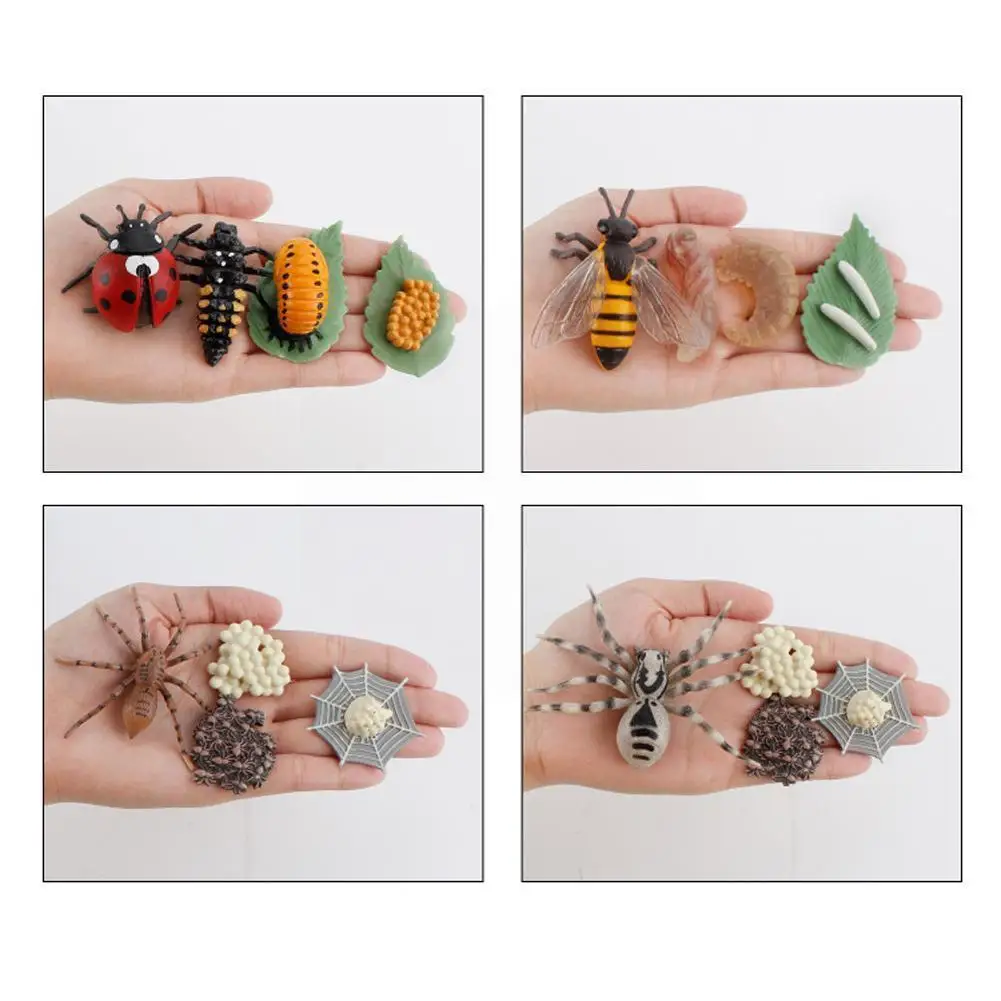 1 Набор, детские игрушки для ранней фотосъемки
1 Набор, детские игрушки для ранней фотосъемки