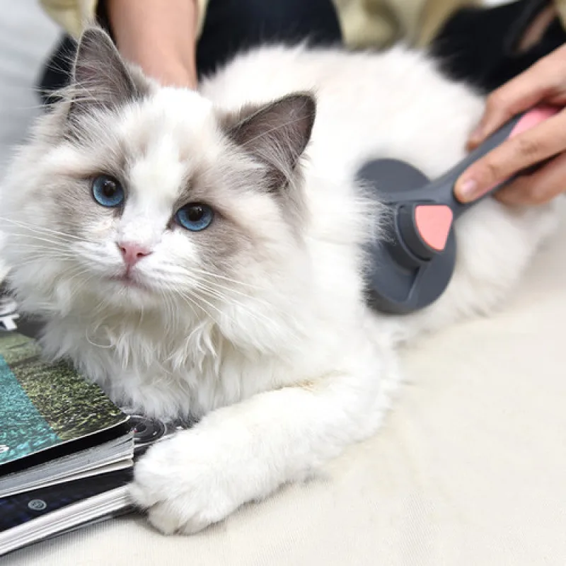 For Cat comb to float hair Teddy dog hair removal self-cleaning comb flea comb large dog golden hair brush hair comb
For Cat comb to float hair Teddy dog hair removal self-cleaning comb flea comb large dog golden hair brush hair comb