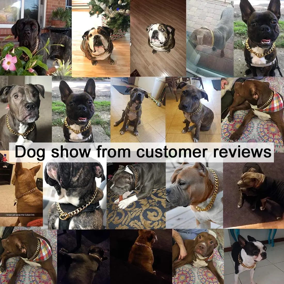 15/17/19mm Gold Stainless Steel Dogs Training Choker Chain Collars for Large Dogs Pitbull Bulldog Pet Collar Necklace
15/17/19mm Gold Stainless Steel Dogs Training Choker Chain Collars for Large Dogs Pitbull Bulldog Pet Collar Necklace