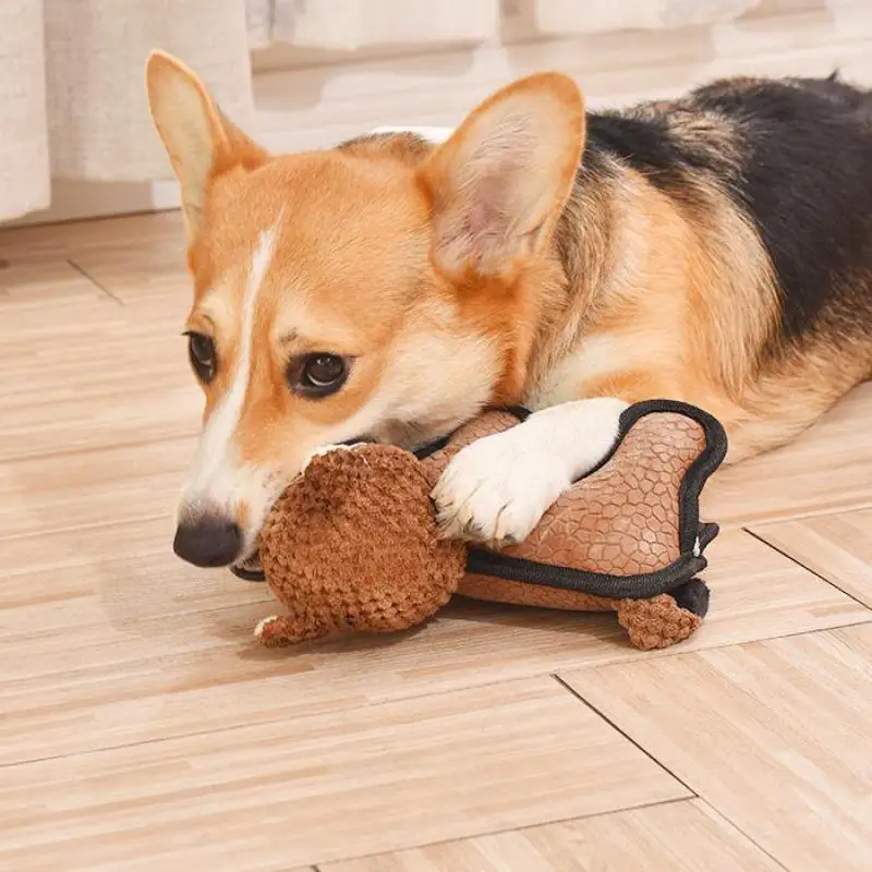 Dog Toy Relieve Boredom Push Sound Bite Resistant Molar Puppy Plush Cloth For Large Small And Medium Pets Playing Supply
Dog Toy Relieve Boredom Push Sound Bite Resistant Molar Puppy Plush Cloth For Large Small And Medium Pets Playing Supply