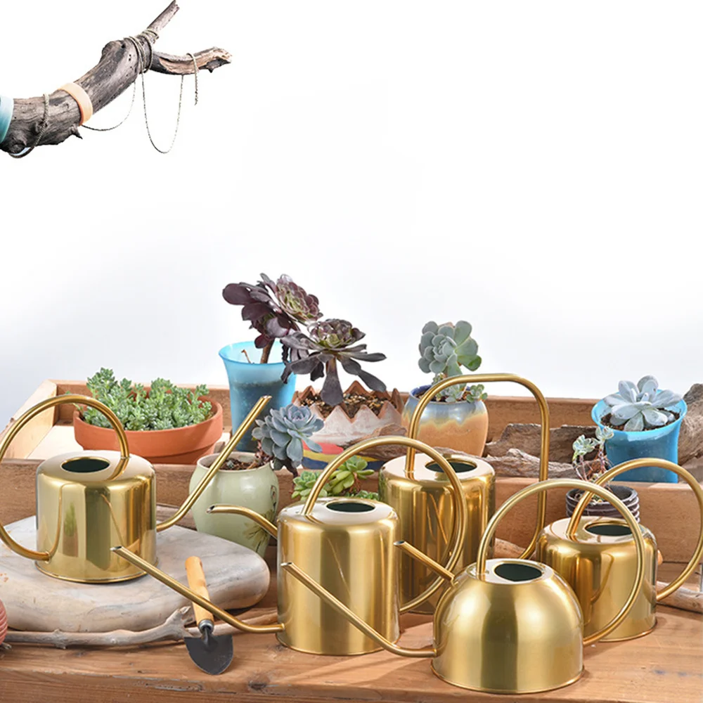 1pc Plants Watering Can Stainless Steel Long Spout Succulents Watering Kettle Gardening Tool (Golden)
1pc Plants Watering Can Stainless Steel Long Spout Succulents Watering Kettle Gardening Tool (Golden)