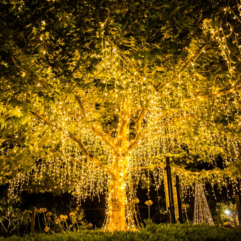 Outdoor Solar Led Light Solar Lamp String Lights Terrace Garden Decoration Outdoor Garland Light Outdoor Garden Furniture
Outdoor Solar Led Light Solar Lamp String Lights Terrace Garden Decoration Outdoor Garland Light Outdoor Garden Furniture