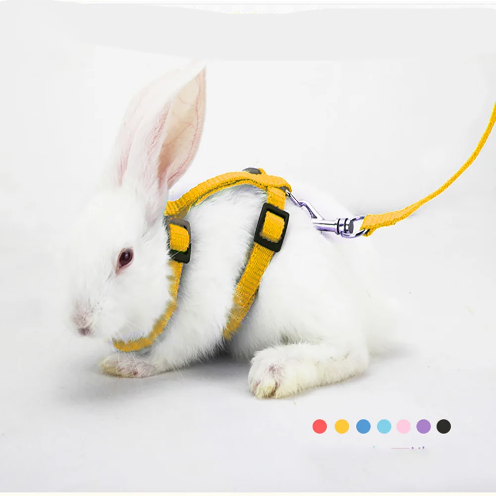 Small Pet Rabbit Harness Leash Soft Nylon Running/Walking Harness Leash with Safe Bell for Guinea Pigs Ferret Cat Rat Pet Pigs
Small Pet Rabbit Harness Leash Soft Nylon Running/Walking Harness Leash with Safe Bell for Guinea Pigs Ferret Cat Rat Pet Pigs