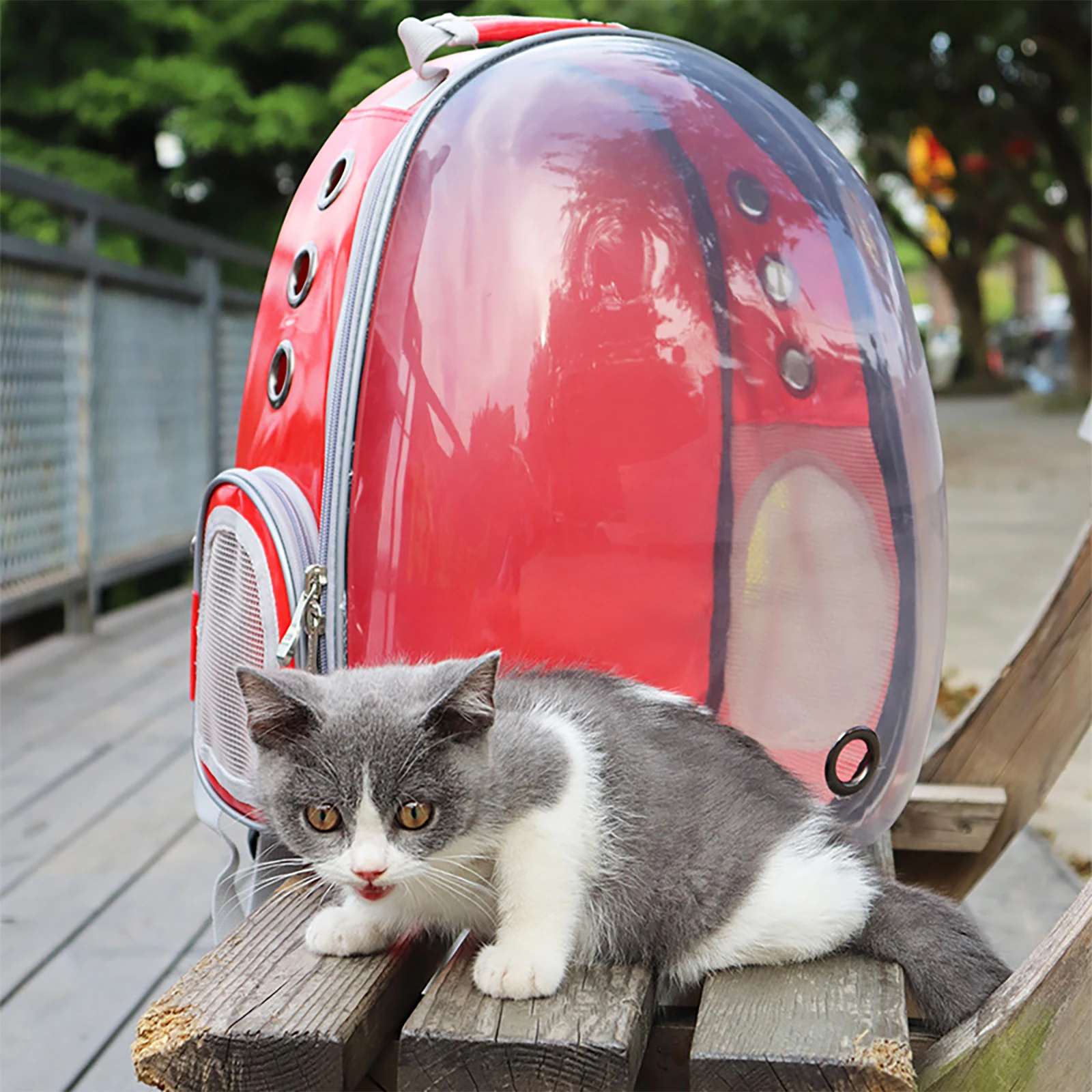 Outdoor Travel Backpack Transparent Space Cat Carriers Pet Bubble Backpack Ventilate Transparent Space Capsule for Travel
Outdoor Travel Backpack Transparent Space Cat Carriers Pet Bubble Backpack Ventilate Transparent Space Capsule for Travel