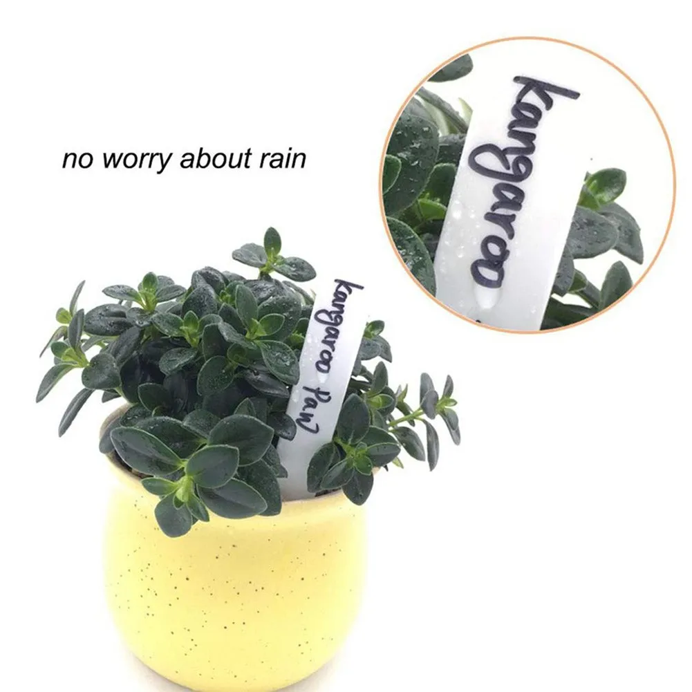 100pcs Plant Label White Waterproof, Plastic Nursery Garden Labels Gardening Plant Tag Garden Decoration Ornaments Wholesale
100pcs Plant Label White Waterproof, Plastic Nursery Garden Labels Gardening Plant Tag Garden Decoration Ornaments Wholesale