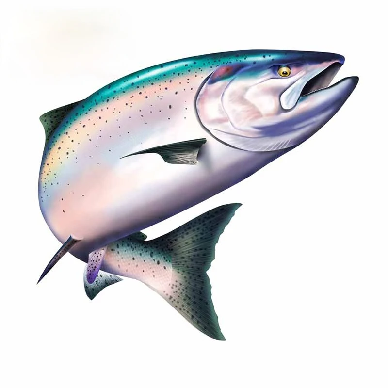 13cm x 11.6cm For Salmon Vinyl Car Stickers Sunscreen Fine Decal Motorcycle Personality Occlusion Scratch Decoration
13cm x 11.6cm For Salmon Vinyl Car Stickers Sunscreen Fine Decal Motorcycle Personality Occlusion Scratch Decoration