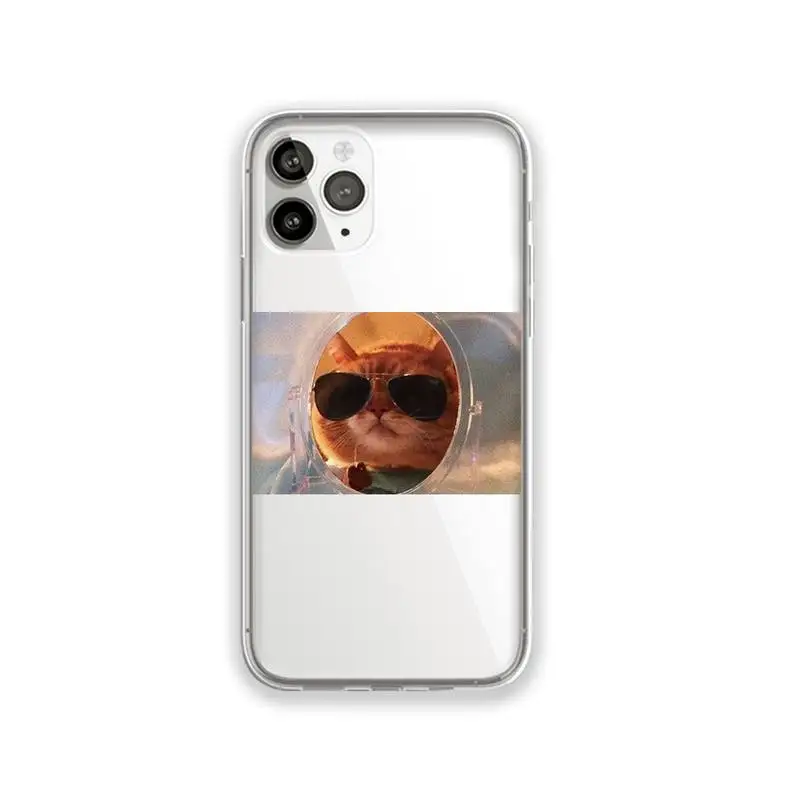 Cute animal cat dog Phone Case Transparent for iPhone 11 12 mini pro XS MAX 8 7 6 6S Plus X 5S SE 2020 XR
Cute animal cat dog Phone Case Transparent for iPhone 11 12 mini pro XS MAX 8 7 6 6S Plus X 5S SE 2020 XR