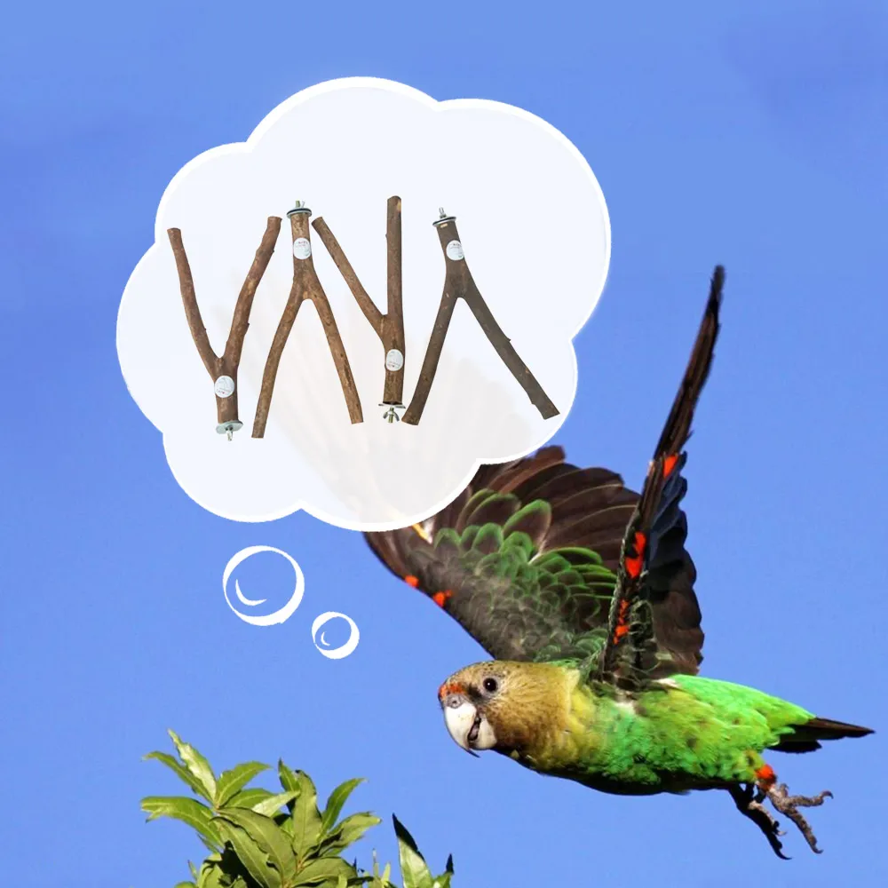 Natural Wood Parrots Swing Stand Bifurcated Bird Rack for Cage Budgie Parakeet Bird Accessories For Pet Toy 
Natural Wood Parrots Swing Stand Bifurcated Bird Rack for Cage Budgie Parakeet Bird Accessories For Pet Toy