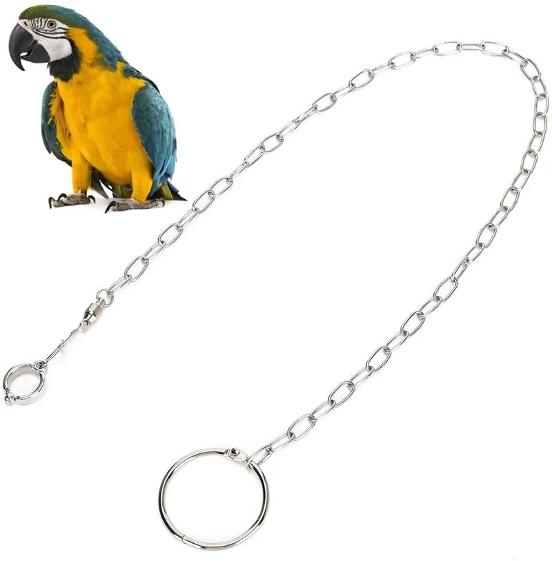 Parrot Foot Chain Stainless Steel Anti-bite Flying Training Anklet Ring for Macaw African Greys Parakeet Cockatoo Cockatiel
Parrot Foot Chain Stainless Steel Anti-bite Flying Training Anklet Ring for Macaw African Greys Parakeet Cockatoo Cockatiel