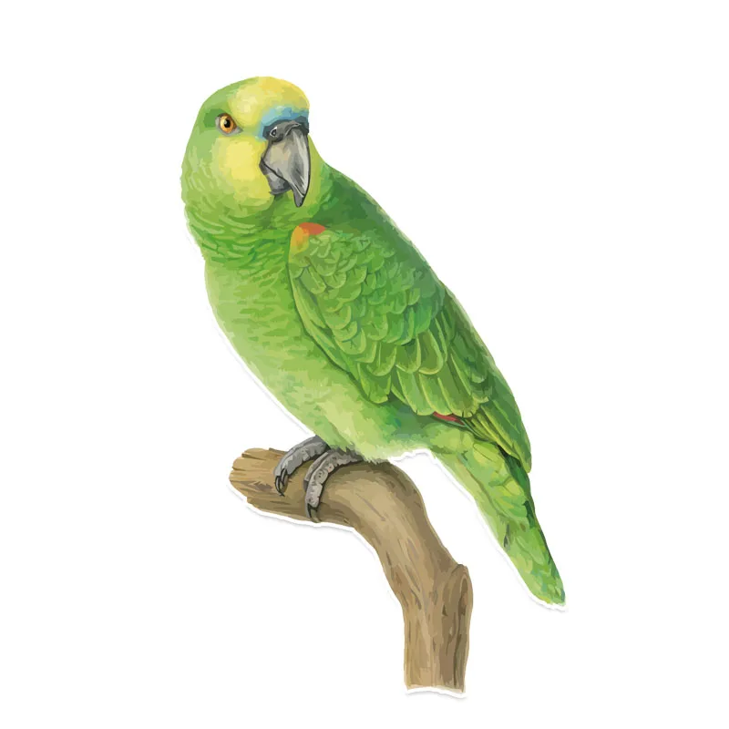 

Funny Decal Unique Green Parrot In PVC Colored Decor Car Sticker Personalized High Quality,14cm*9cm