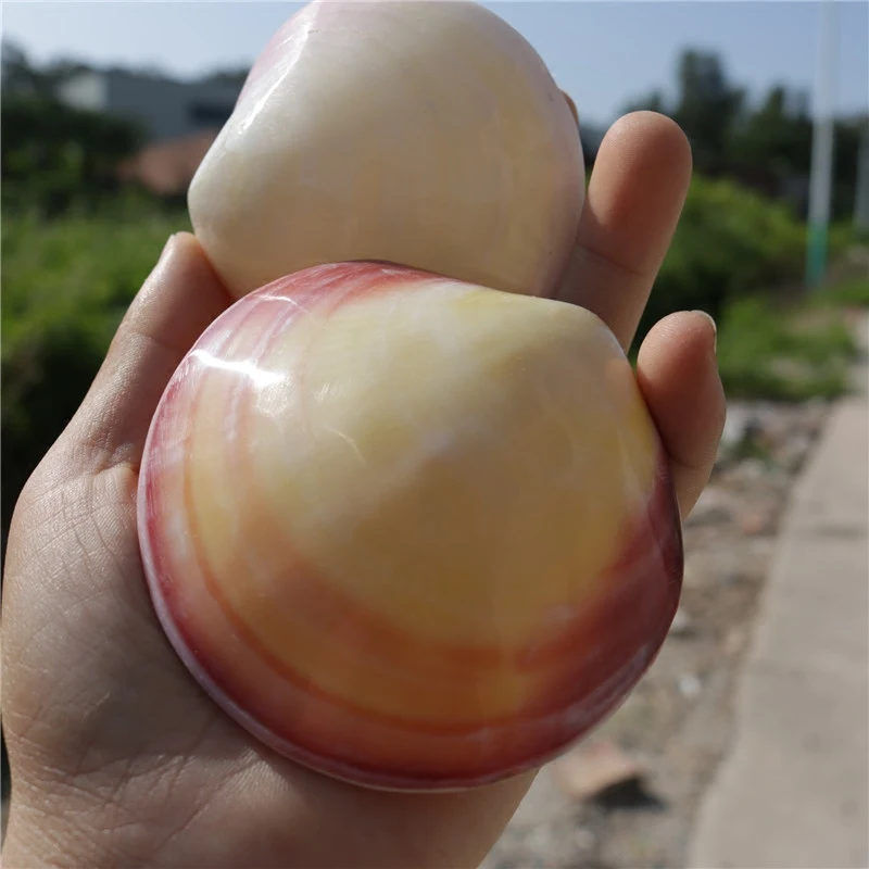 Natural Conch Shell Powder Clam Light Clam Shell Fish Tank Landscape Decoration Exquisite Gift for Lovers Decoration Crafts Gift
Natural Conch Shell Powder Clam Light Clam Shell Fish Tank Landscape Decoration Exquisite Gift for Lovers Decoration Crafts Gift