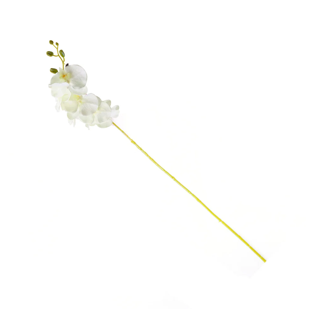 Small Artificial Flowers Orchids Present Touch for New Home Wedding Decorations Party Decor (White)
Small Artificial Flowers Orchids Present Touch for New Home Wedding Decorations Party Decor (White)